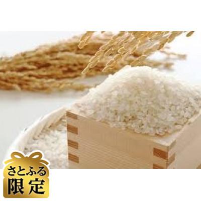 ふるさと納税 三豊市 ふるさと納税　白米【新米コシヒカリ15.0kg】三豊市産