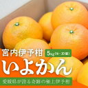 【ふるさと納税】 【先行予約】 宮内伊予柑 5kg みかん 5kg みかん 愛媛 みかん 松山 みかん 農家直送 いよかん 蜜柑 柑橘 果物 くだもの フルーツ お取り寄せ グルメ 期間限定 数量限定 人気 おすすめ 愛媛県 松山市