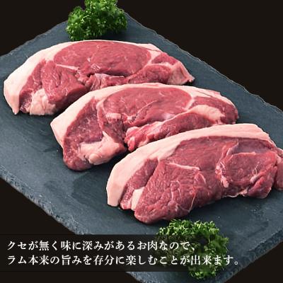 ふるさと納税 千歳市 特製ラム ランプ ステーキ 9枚セット(おろしソース付)＜肉の山本＞ |  | 02