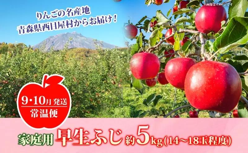 りんご 早生ふじりんご 青森県産 家庭用早生ふじ りんご【約5kg】【9〜10月発送】