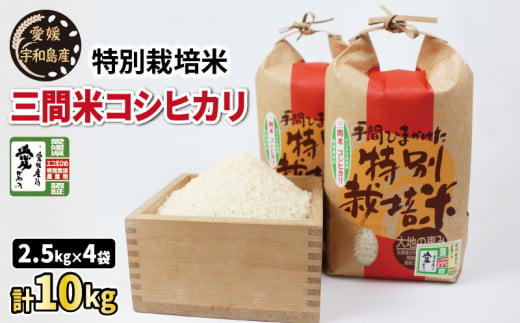 特別栽培米 コシヒカリ 三間米 令和6年度産新米 計10kg 農業組合法人はざめ 新米 米 ご飯 ごはん お弁当 弁当 おにぎり ブランド米 ふっくら ツヤツヤ 甘い 国産 愛媛 宇和島 G020-015001