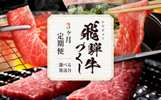 ＜8月開始＞【飛騨牛づくし定期便】「選べる月別発送」肉 飛騨牛 定期便 約1.6kg ZZ021VC08