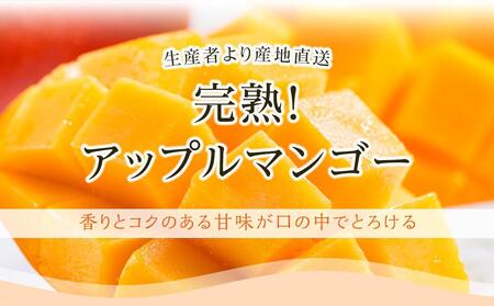 【先行予約】高知県南国市産／完熟アップルマンゴー1個（2024年6月～発送）【マンゴー フルーツ マンゴー くだもの マンゴー デザート マンゴー 高評価 マンゴー 厳選 マンゴー 高級 マンゴー ギ