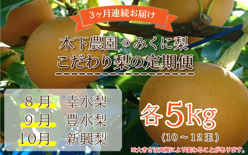 
            【先行予約】【3ヶ月連続お届け】木下農園のみくに梨 「こだわり梨の定期便」5kg (10～12玉) × 3回【2025年8月中旬以降順次発送予定】  [C-12101]
          