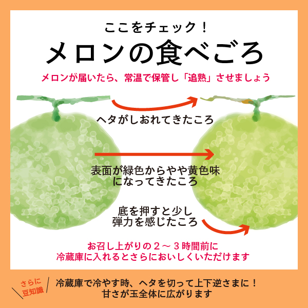2025年夏発送 メロン 北海道 ふらの 赤肉 メロン 2kg×4玉 JAふらの 厳選 産地直送 赤肉 富良野メロン フルーツ 果物 果実 旬 旬のくだもの デザート おやつ ギフト プレゼント 贈答