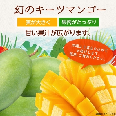 【2026年8月から順次発送・訳あり】JAおきなわ厳選!沖縄県産キーツマンゴー2kg(2～3玉)【配送不可地域：離島】