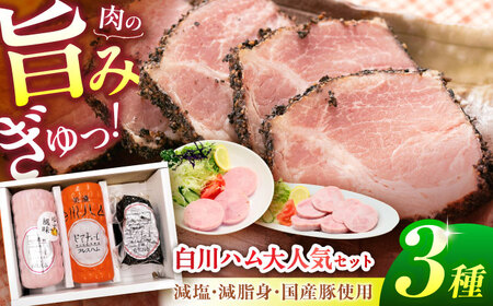 白川ハム 人気！3種セット（ プレスハム ・ ゆず味プレスハム ・ パストラミハム ） ハム ボンレスハム プレスハム パストラミ 詰め合わせ 白川町 / 白川町農業開発[AWAH015]