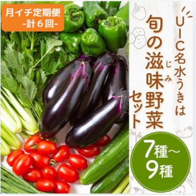 ふるさと納税 うきは市 【毎月定期便】名水うきは 旬の滋味(じみ)野菜セット　全6回