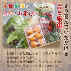 野菜【旬のお野菜大満足セット】【A8-040】