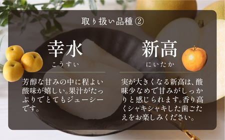 梨 5kg 一流青果店厳選 豊橋 梨