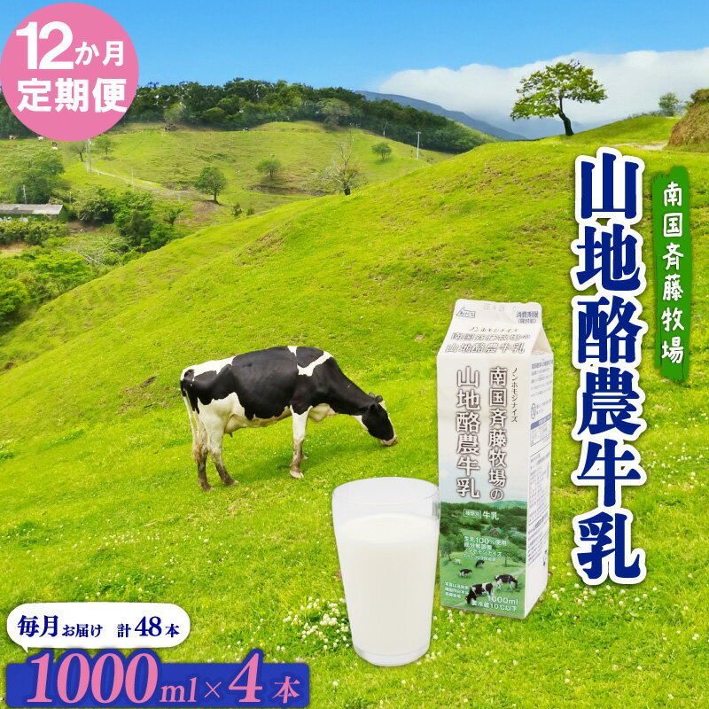 【ふるさと納税】 12か月定期便 山地酪農牛乳 1L×4本 南国斉藤牧場 低温殺菌 成分無調整 牛乳 生乳100％ ノンホモジナイズ 1L 1リットル ぎゅうにゅう ミルク 送料無料 自然放牧 高知県 南国市