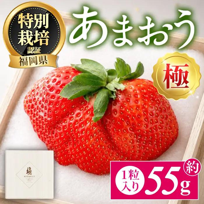 ＜予約受付中！2026年11月より順次発送予定＞あまおう「極」 (1個・約55g) 苺 いちご イチゴ 国産 福岡県 果物 フルーツ 冷蔵 特別栽培 贈答 ＜離島配送不可＞【ksg1977】【うるう農園】