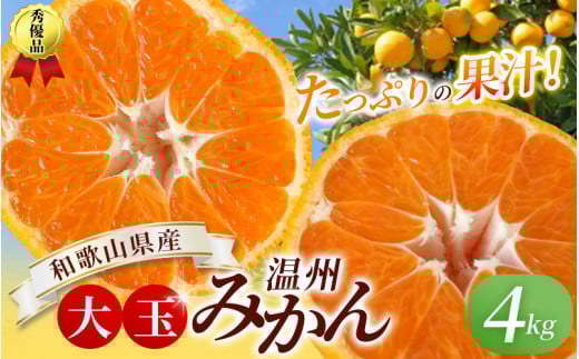 ボリューム満点！大玉  温州みかん 4kg  ※秀優混合【2L～3Lサイズ】【2025年12月から2026年２月下旬頃に順次発送】＜味好農園＞/ 温州 蜜柑 みかん 柑橘 果物 フルーツ ミカン 甘い 美味しい【agy018A】