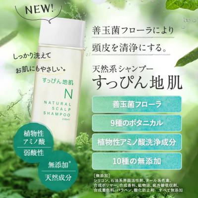 ふるさと納税 板倉町 すっぴん地肌&すっぴん艶髪(各1本セット)|13_log-050101 |  | 02