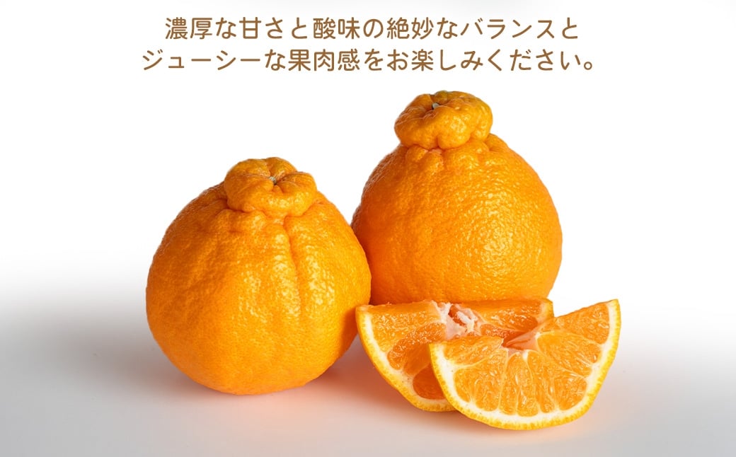 環境マイスターの不知火 良品 10kg