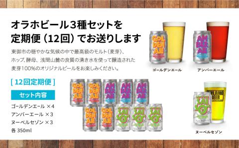 【12回定期便】オラホビール10本（3種合計10本）