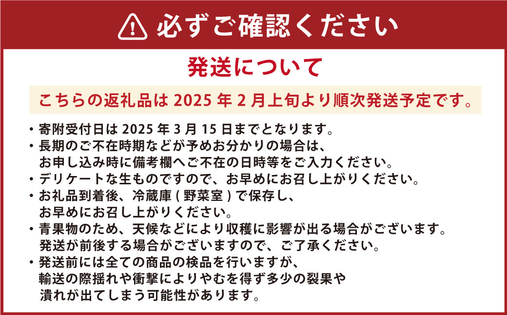 にべさんちの苺 熊本県産イチゴプレミアム桃薫(とうくん) 