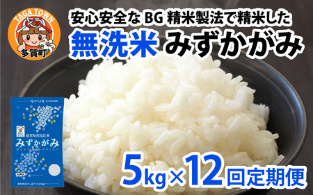 【先行予約】【令和７年産新米早期予約　毎月定期配送・計12回】 BG無洗米みずかがみ5kg×12回【2025年10月以降毎月お届け】[P-00403] / 無洗米 無洗米 無洗米 無洗米 無洗米