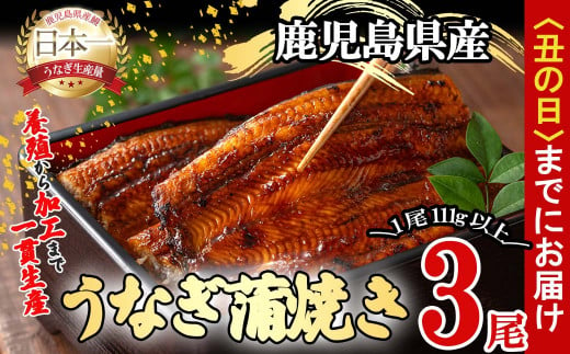 【丑の日までに配送】桜林養鰻のうなぎ蒲焼 計333g以上(111g以上×3尾) b0-175-us