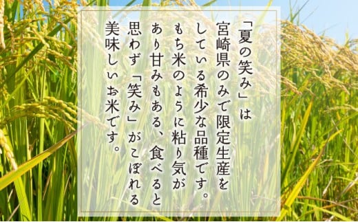 T-B1 <令和7年産>宮崎県串間市産  超早場米「夏の笑み」5kg(5kg×1袋)【松田農産】