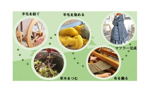 手紡ぎ100%草木染めのミニ・マフラー(B6)