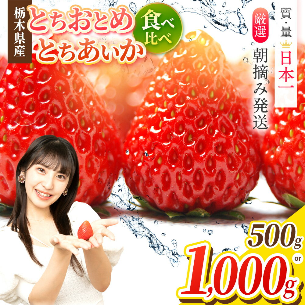 【ふるさと納税】【2026年先行予約】 超人気 いちご とちおとめ・とちあいか 500g or 1000g 食べ比べ セット ｜ 農林水産大臣賞 受賞農家 人気 2品種 食べ比べ セット 栃木県産 いちご 日本一 苺 イチゴ ストロベリー 産地直送 もぎたて 直送 いちご王国 人気 高評価