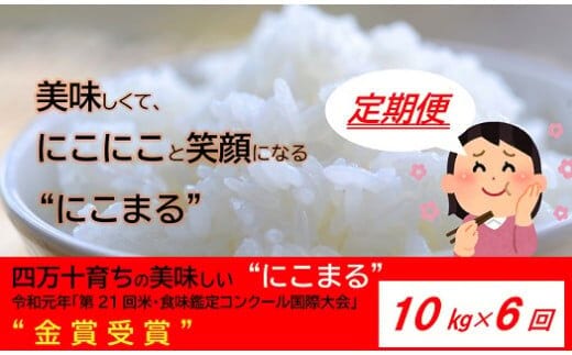 
										
										【2024年10月から発送開始】◎令和6年産新米◎四万十の美味しいお米”にこまる”。高知のにこまるは四万十の仁井田米【10㎏×6回の定期便】／Sbmu-A13
									