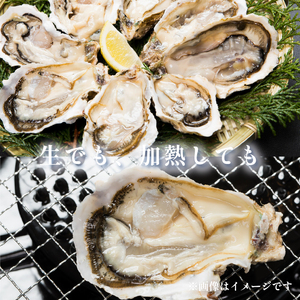 殻付き 春っこ 牡蠣 1袋 ( 12個入り ) 生食用 冷凍 数量限定 カキ かき 殻付き牡蠣