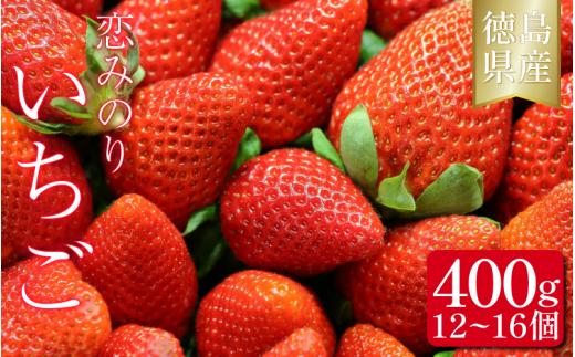 いちご 恋みのり 400g 果物 フルーツ 苺 ストロベリー ジャム スムージー 洋菓子 家族 子ども フルーツサンド フルーツ大福 いちご大福 苺大福 人気 オススメ お取り寄せ グルメ いちご狩り いちごはうす 近藤 民宿 農家民宿 徳島 三好 みよし