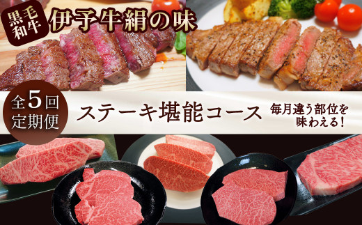 全5回定期便 黒毛和牛 伊予牛 絹の味 ★ステーキ★ ステーキ堪能コース　愛媛県西条市 青野精肉店 【配送日時指定可・冷蔵】 ※関東以北・沖縄へのお届けは冷凍  | 黒毛和牛 A4～A5 お肉 牛肉 ステーキ 国産肉 国産牛肉 肉 和牛 おにく グルメ お取り寄せ おすすめ 国産 愛媛県 西条市