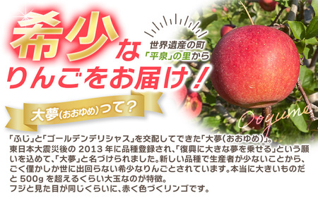【11月中旬頃より順次発送】大文字りんご園 大夢（おおゆめ）約3kg (7～10玉)/   リンゴ【dma513-l-oy-3C】