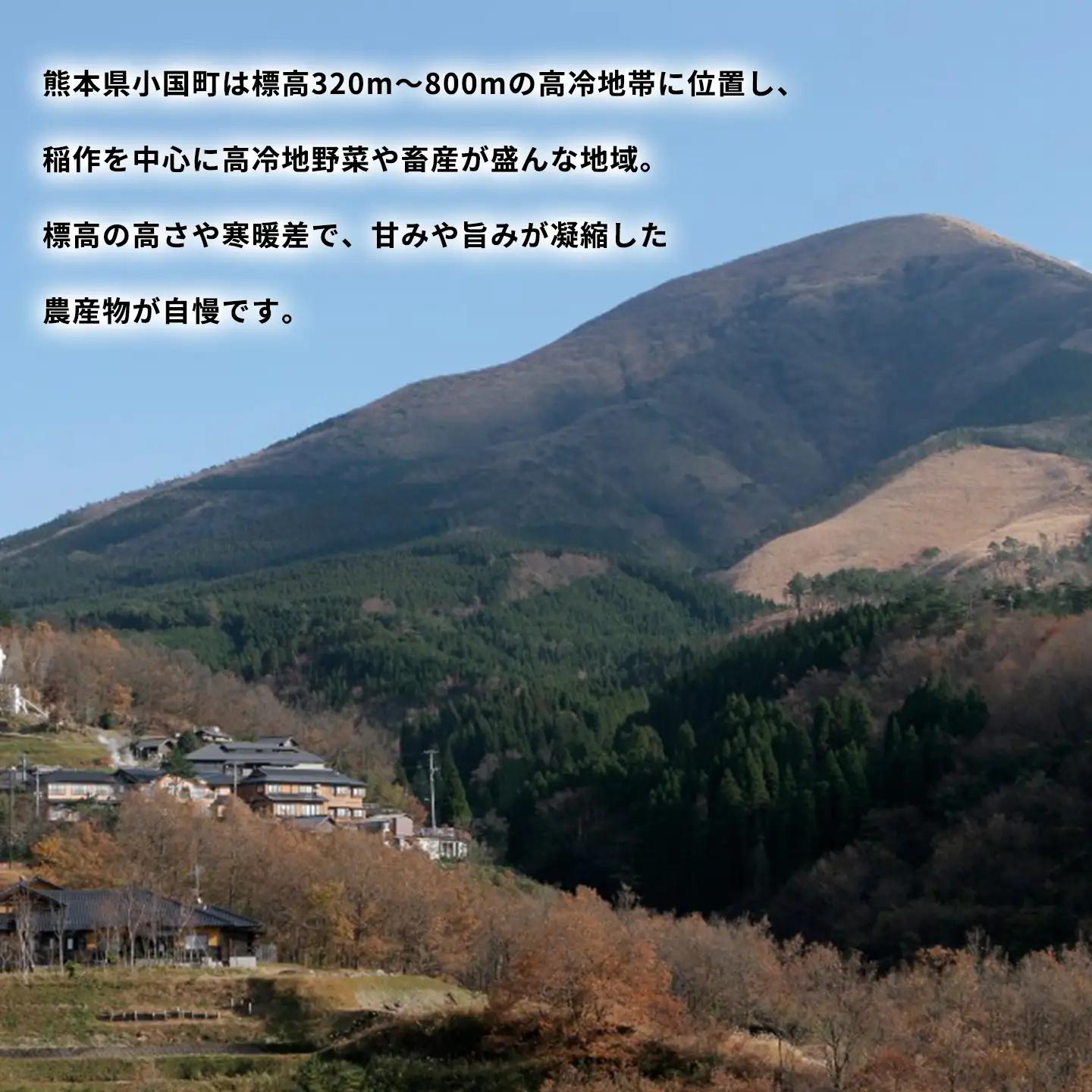 【学びやの里】生栗 阿蘇 小国産 大粒 約2kg 旬の素材 国産 熊本県産 果物 和栗 品種ミックス お取り寄せ お菓子材料 栗ご飯 チルド 冷蔵配送