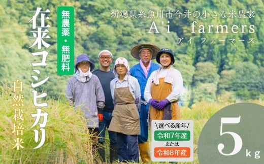 【R8年産】 選べる 自然栽培米 『 在来コシヒカリ 』 5kg 新潟県 糸魚川市産 無農薬 無化学肥料米 安心 安全 美味しいお米 新潟米 今井産 アイファーマーズ 今摺り米 精米 白米【こしひかり おにぎり お弁当 におすすめ お米 おこめ コメ ご飯 ライス ふるさと納税米 ブランド米 5キロ】