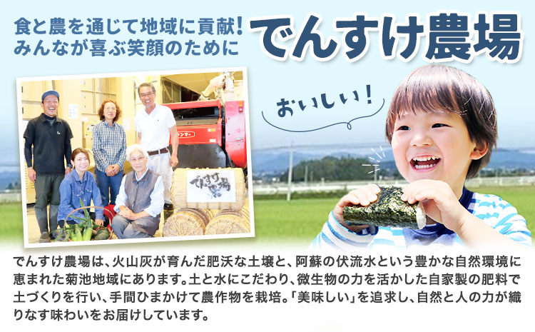 【6ヶ月定期便】令和7年産 精米 七城のこめ 15kg《お申込み翌月から出荷》熊本県 菊池市 米 白米 ヒノヒカリ でんすけ農場