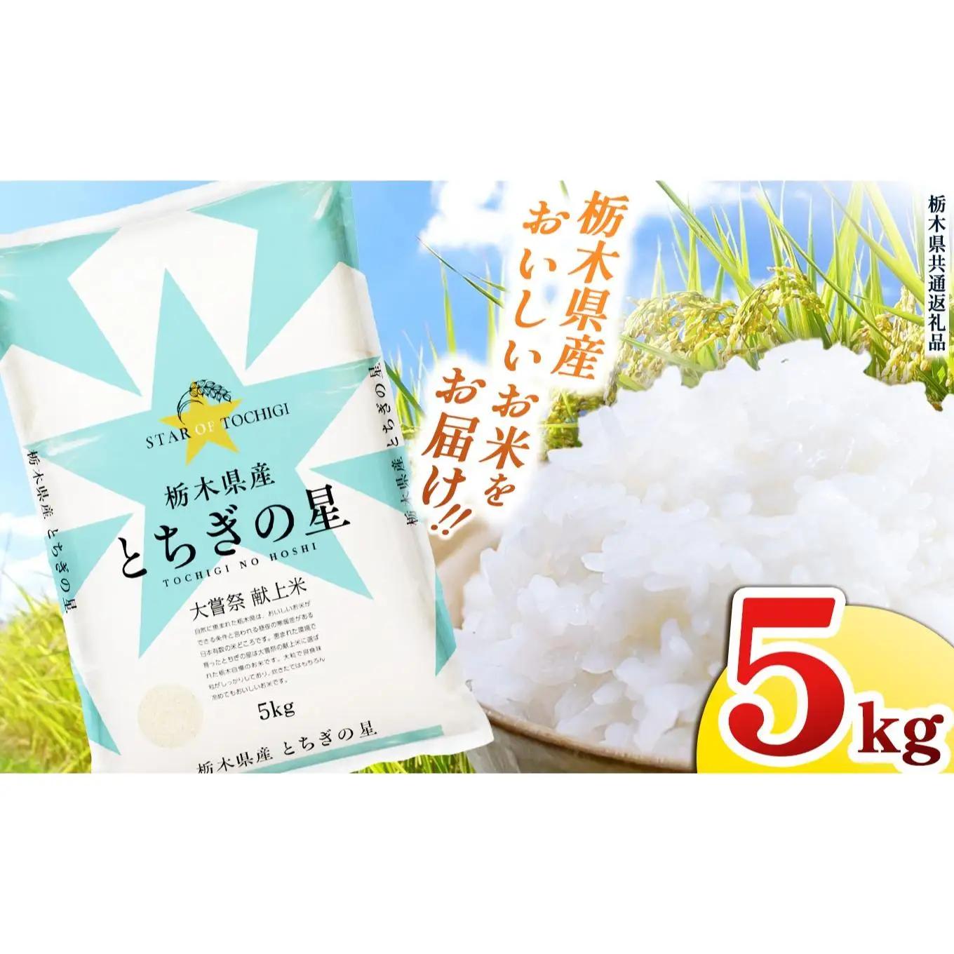 栃木県産 お米 とちぎの星 ５kg |  栃木県 矢板市 【栃木県共通返礼品】