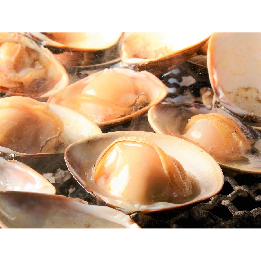 ＜桑名はまぐり屋＞蓄養「はまぐり」5年もの500gx2（計1kg）