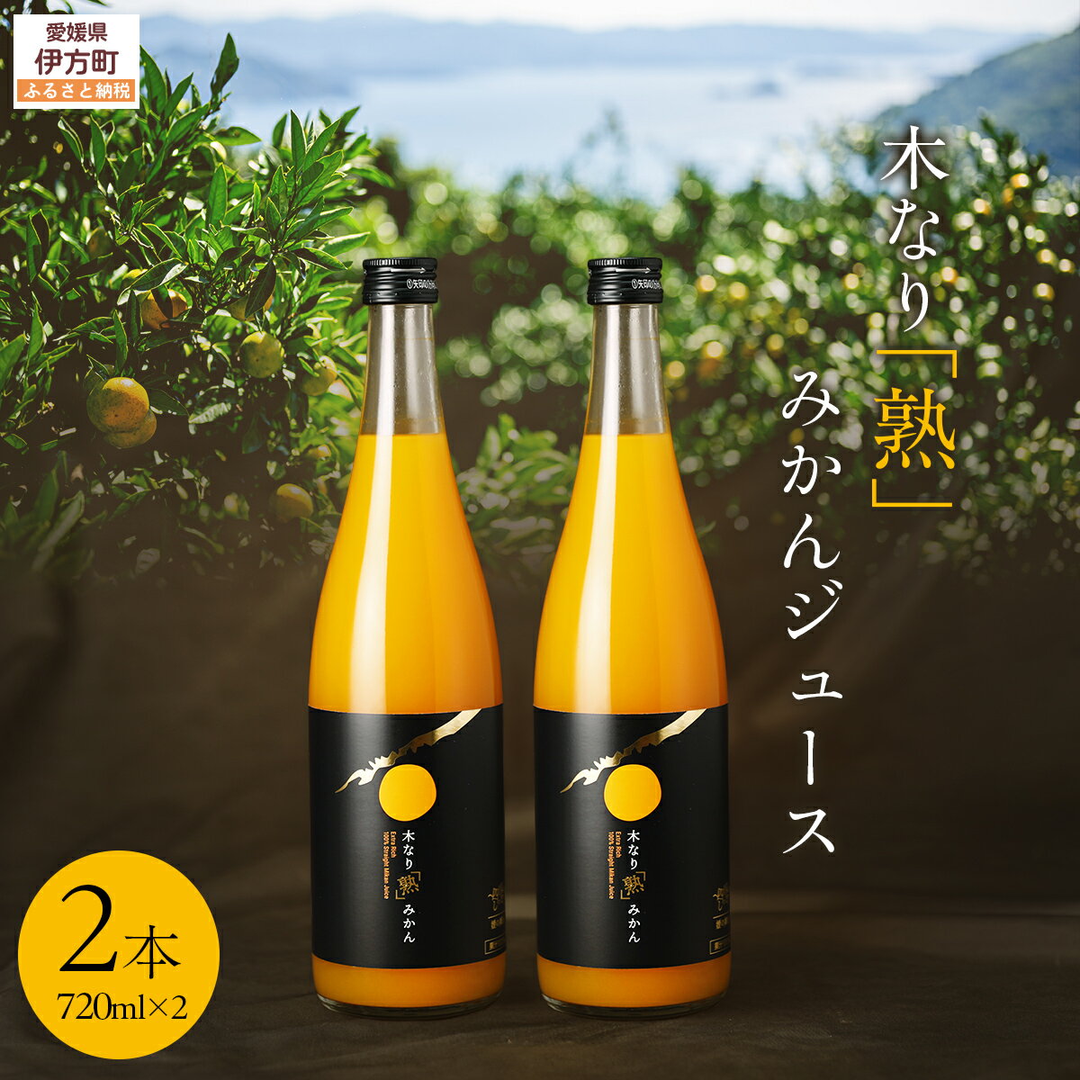 【ふるさと納税】木なり「熟」みかんジュース（720ml×2本） 【 ふるさと納税 人気 おすすめ ランキング ジュース みかんジュース 温州みかん みかん 糖度12度 甘い フルーティ 健康 みかんジュースコンクール 愛媛県 伊方町 送料無料 】 IKTE010