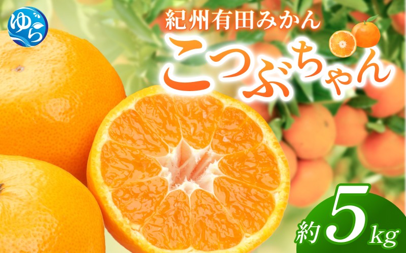 
            紀州 有田みかん 「こつぶちゃん」 約5kg / みかん 温州みかん 小粒 小玉 こだま 甘い 和歌山 由良 フルーツ 柑橘  ※2025年11月下旬～2026年1月中旬頃発送予定【sml117A】 
          
