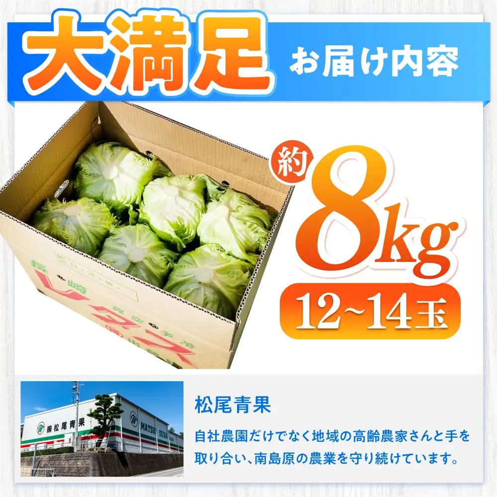2026年 12月-発送 レタス約8kg [SGU005] レタス