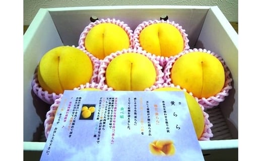 08-07-009　もも(金桃・きららのきわみ)2.5kg