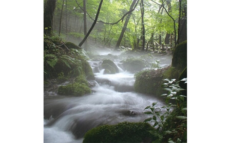 栃木県塩谷町で製造　ばんのう酵母くん(23ml×6本)　2箱
