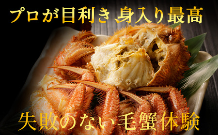 【2025年12月中旬発送】【ボイル済み急速冷凍】身がパンパンに詰まった稚内産毛ガニ900g～1kg（超大サイズ）×3尾