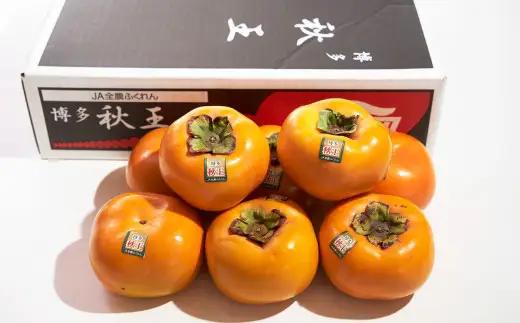 福岡県産ブランド柿・秋王 約3kg （8-12玉） 柿 カキ かき 果物 くだもの フルーツ 冷蔵 国産 岡垣町 【2026年10月下旬～11月下旬発送予定】