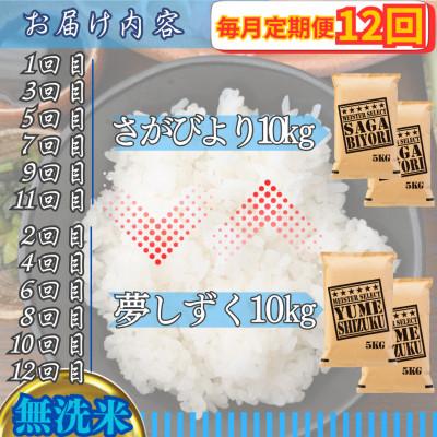 ふるさと納税 江北町 【毎月定期便】【無洗米】食べ比べ10kg(さがびより・夢しずく)(江北町)全12回 |  | 02