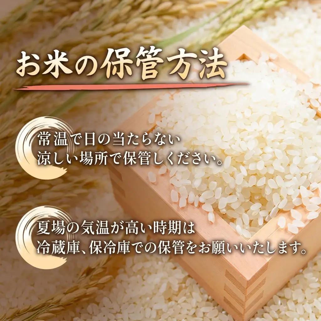 山本農園 コシヒカリ 特別栽培米 10kg 精米 コシヒカリ