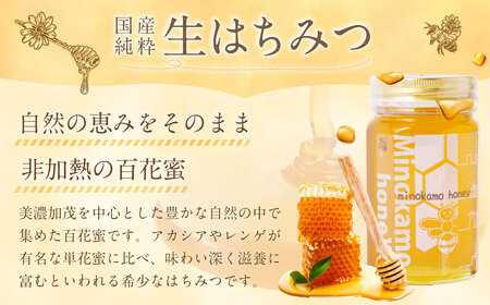 MINOKAMO HONEY はちみつ 2本（500g×2） 合計1000g｜ 藤井養蜂 蜂蜜 非加熱 百花蜜 国産 甘味料 美濃加茂市
