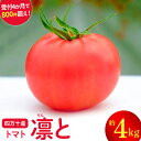 【ふるさと納税】受付4か月で800件超え！四万十産トマト 「凛と」(4kg) 野菜 新鮮 鮮度 抜群 トマト 完熟トマト 評判 好評 人気 濃厚 とまと リコピン パスタ トマトジュース ジャム 健康食品 美肌 美容 免疫 緑黄 ／Fbg-A003