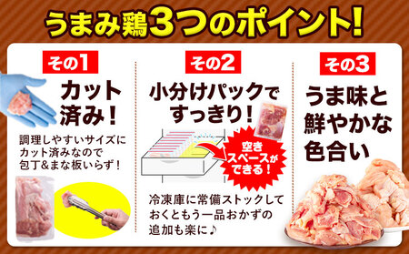 鶏肉 もも肉 1.24kg カット済 小分け 熊本 | 鶏肉