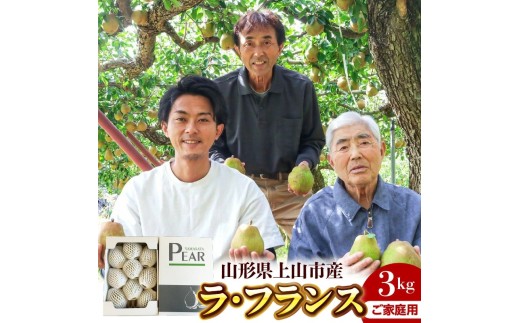ラフランス 3kg ご家庭用 7玉~10玉 5L~2L 西洋梨 ラ・フランス フルーツ 果物 0078-2610