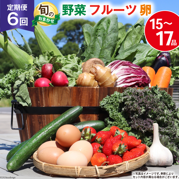 BH113 【6回定期便】 野菜・フルーツ・卵 旬のおまかせセット （野菜･フルーツ14-16種、卵6玉） [ 野菜セット 野菜 フルーツ 果物 たまご 鶏卵 産地直送 厳選 長崎県 島原市 送料無料]